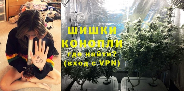 твердый Богородицк