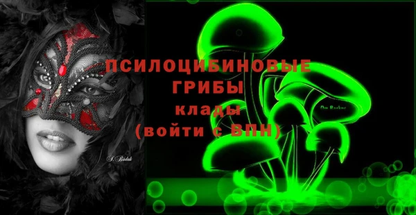 mdpv Богданович
