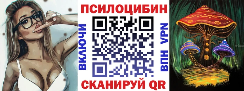 наркошоп  Будённовск  Псилоцибиновые грибы MAGIC MUSHROOMS 